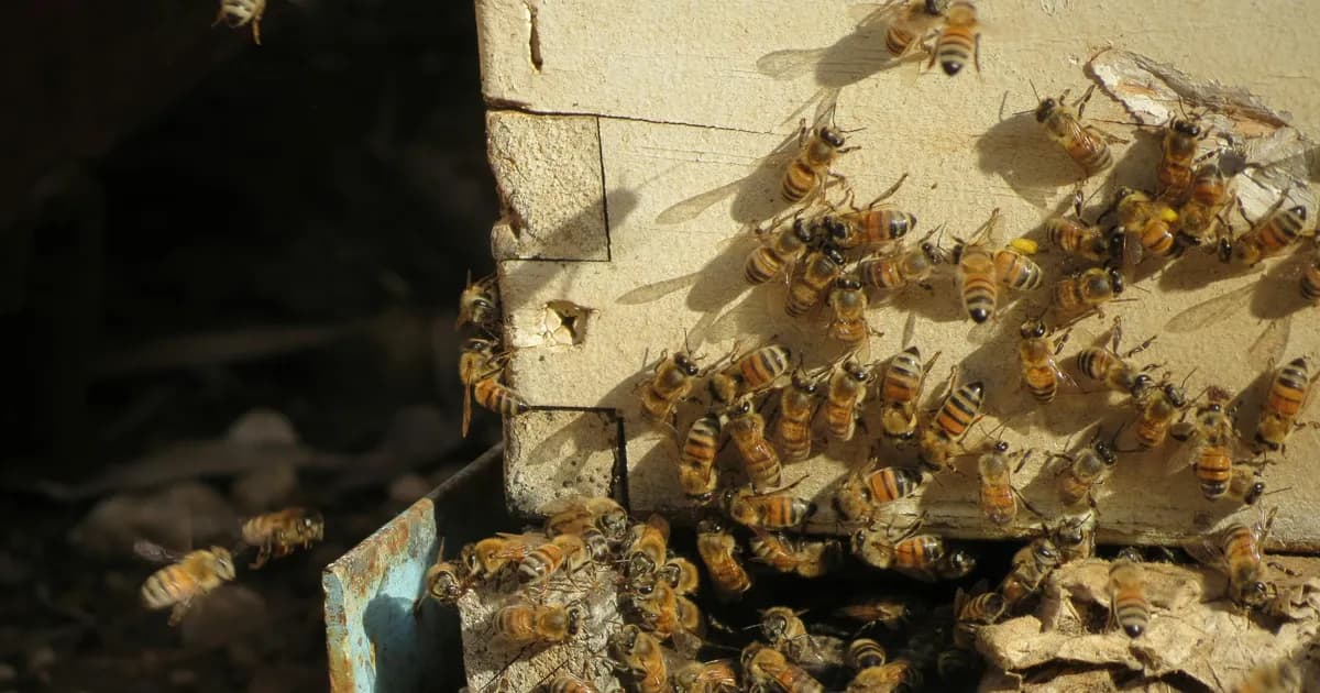 Solar Subsidy Status Check (2025): Meaning of Each Status + What to Do